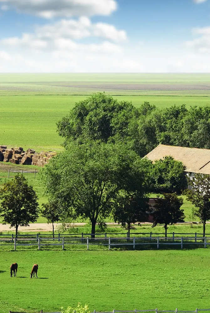 В гости к фермеру
